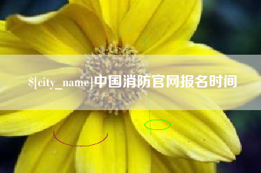 厦门中国消防官网报名时间