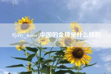 厦门中国的金牌是什么样的