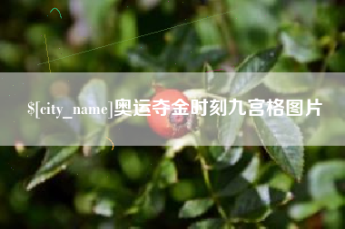 厦门奥运夺金时刻九宫格图片