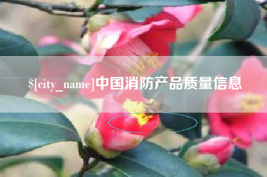 厦门中国消防产品质量信息