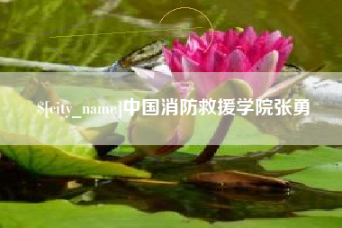 厦门中国消防救援学院张勇