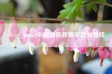厦门中国消防救援学院分数线