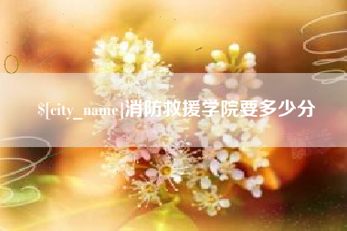 厦门消防救援学院要多少分
