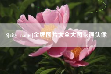 厦门金牌图片大全大图卡通头像