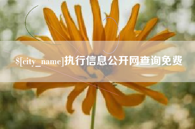厦门执行信息公开网查询免费